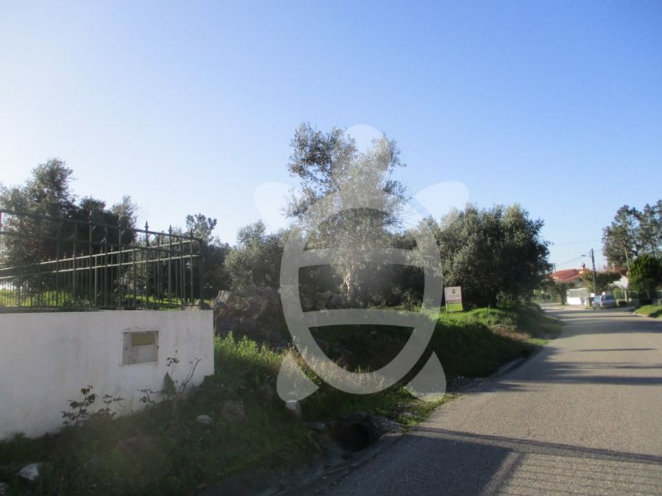 Helårsgrund i Soure, Coimbra - foto 2