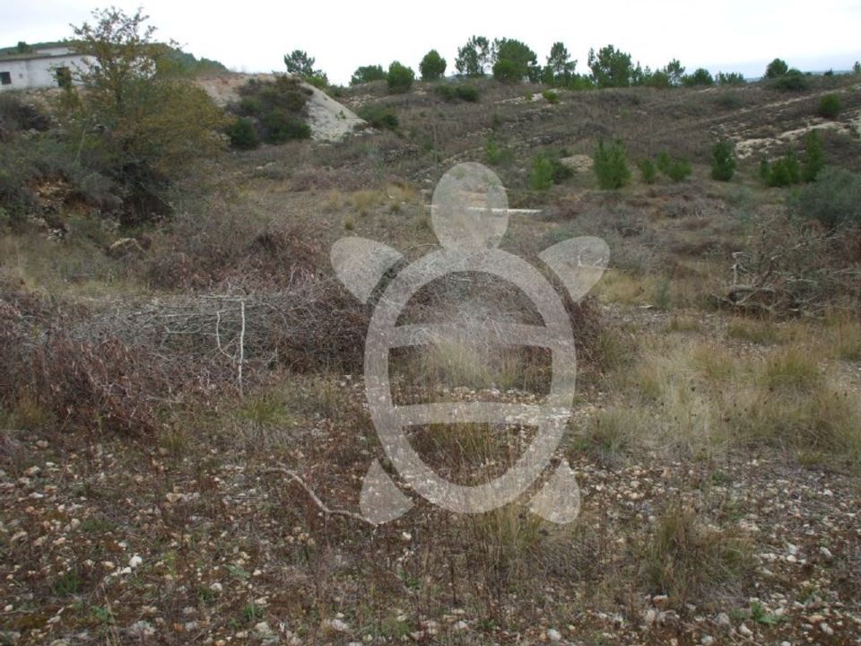 Terra a Condeixa-a-Nova, Coimbra - foto 1