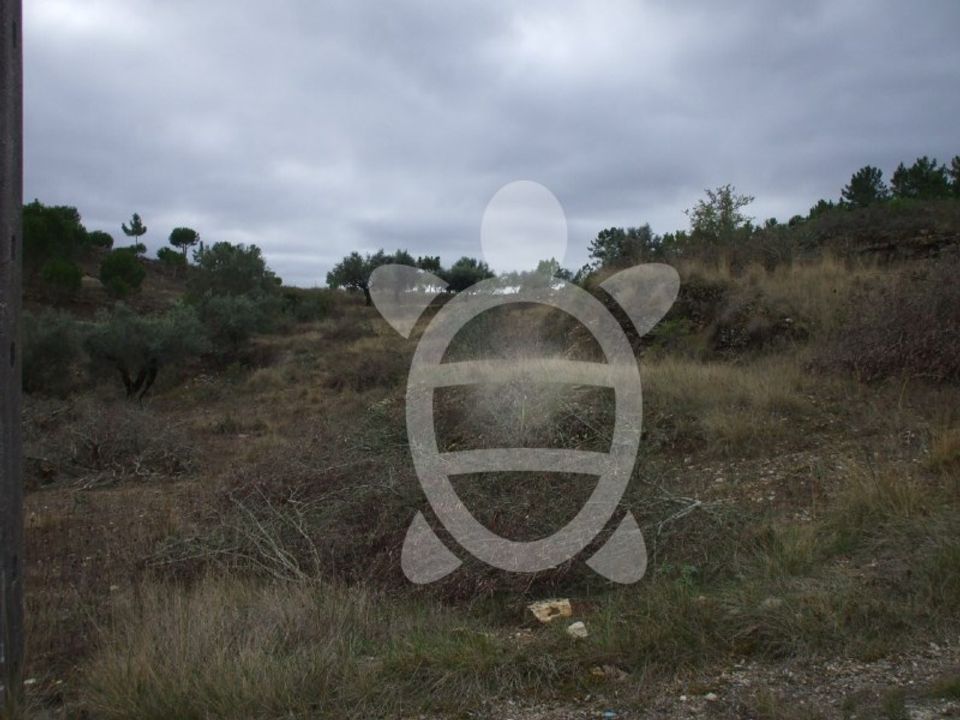 Terra a Condeixa-a-Nova, Coimbra - foto 2