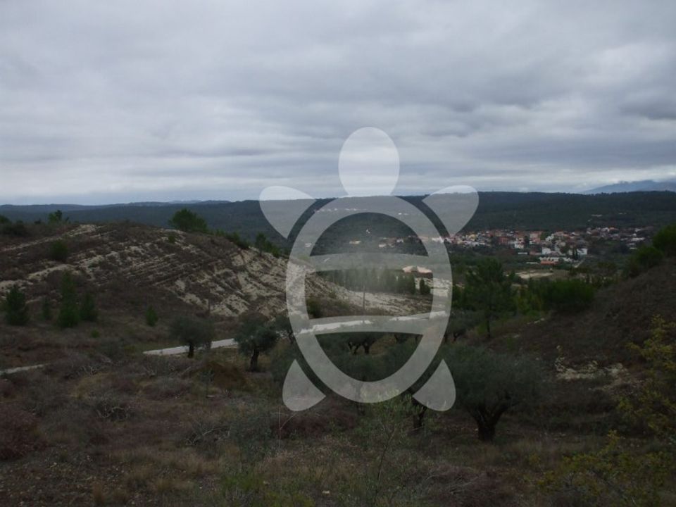 Terra a Condeixa-a-Nova, Coimbra - foto 5