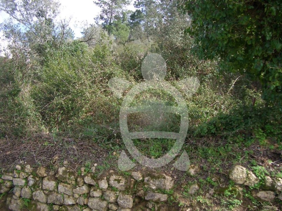 Helårsgrund i Assafarge e Antanhol, Coimbra - foto 5