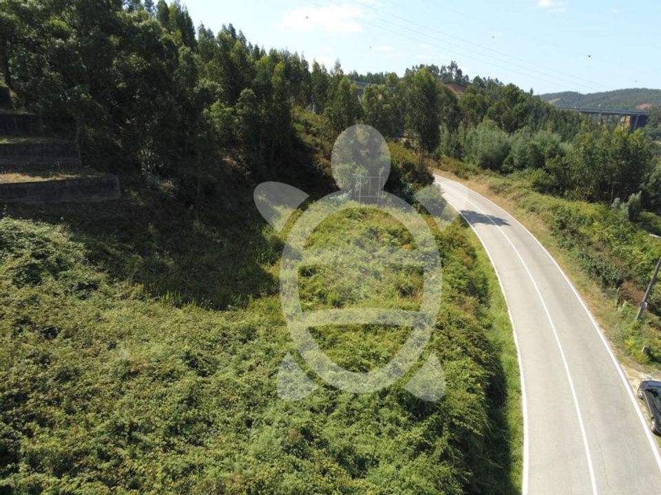 Tomt i Ceira, Coimbra - bilde 5