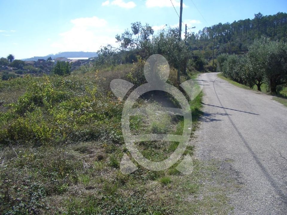 Helårsgrund i Coimbra, Coimbra - foto 2