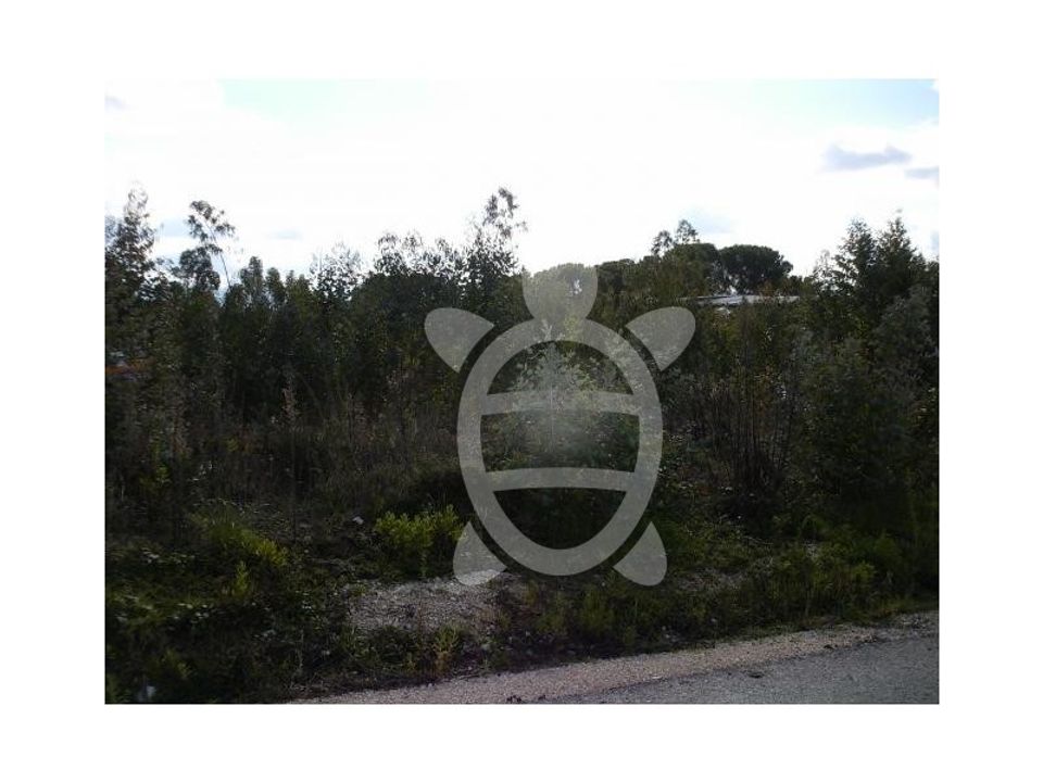 Terra a Condeixa-a-Nova, Coimbra - foto 3