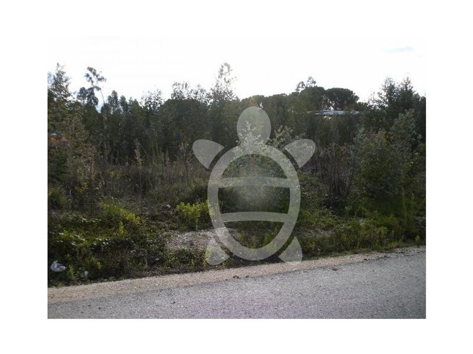 Terra a Condeixa-a-Nova, Coimbra - foto 5