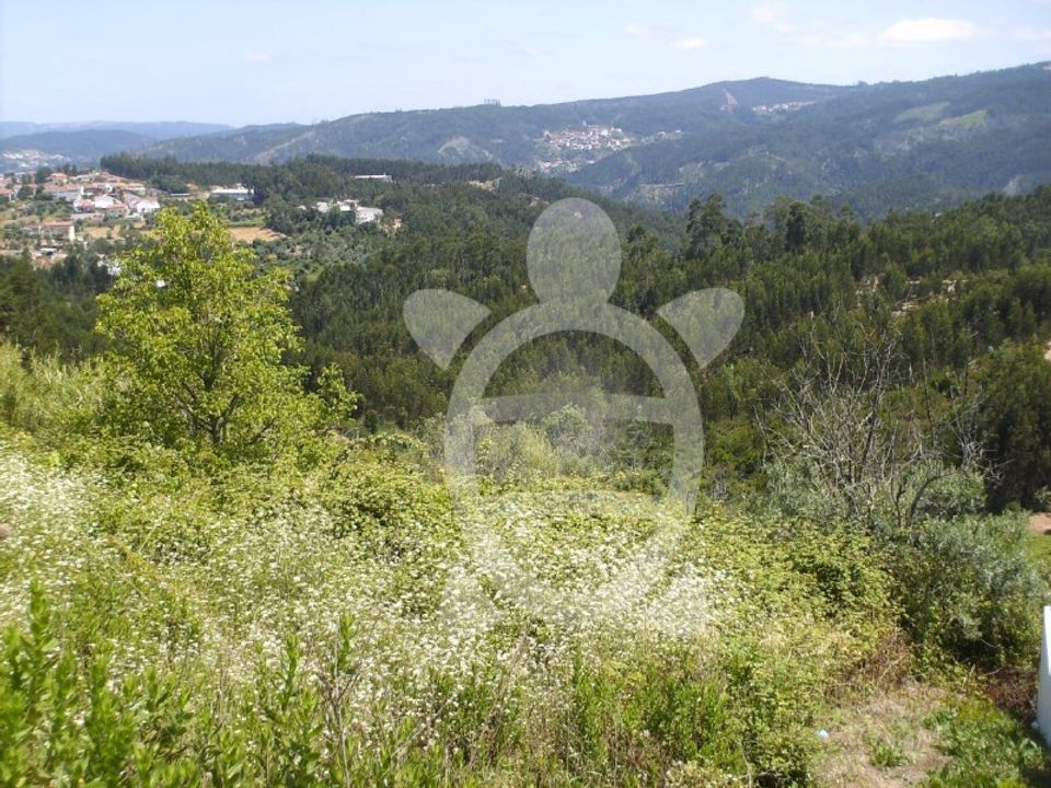 Helårsgrund i Coimbra, Coimbra - foto 2
