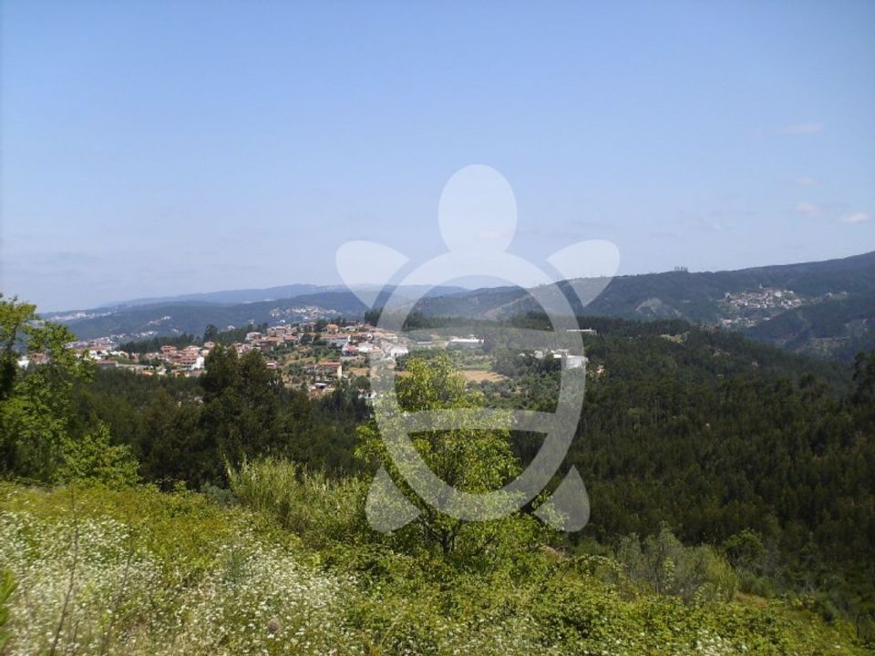 Helårsgrund i Coimbra, Coimbra - foto 3