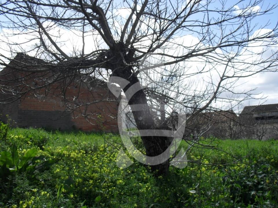 Helårsgrund i Coimbra, Coimbra - foto 4