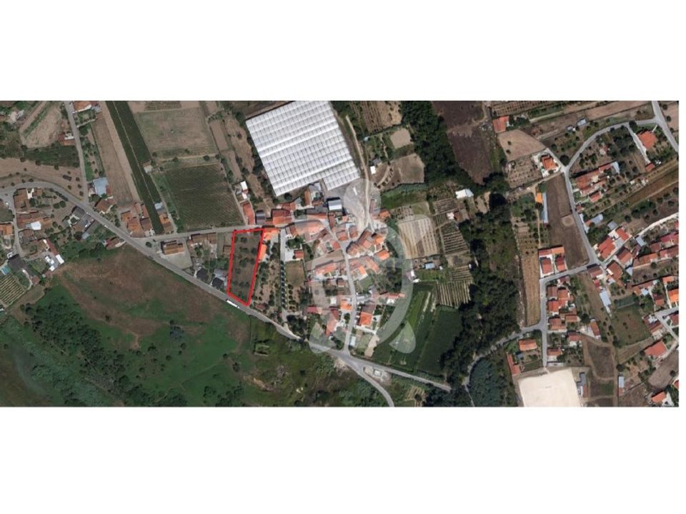 Helårsgrund i São João do Campo, Coimbra - foto 1
