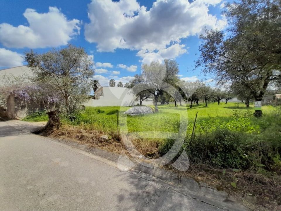 Helårsgrund i São João do Campo, Coimbra - foto 3