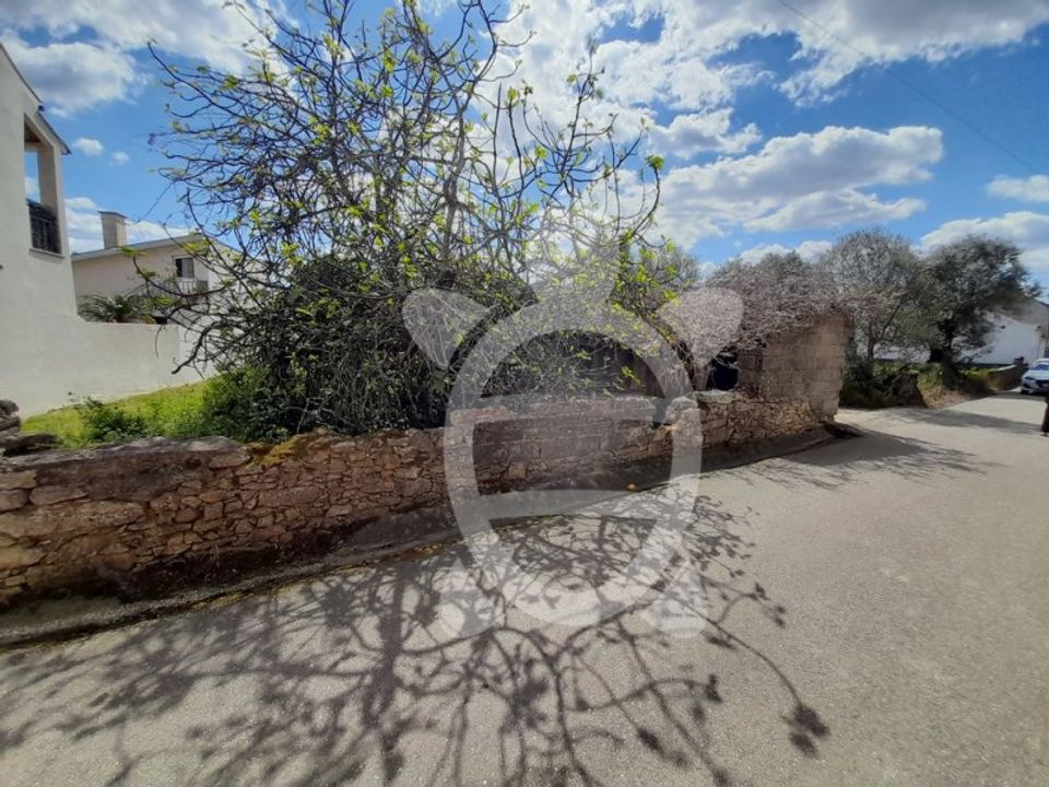 Helårsgrund i São João do Campo, Coimbra - foto 4