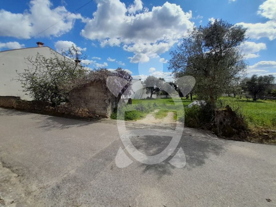 Helårsgrund i São João do Campo, Coimbra - foto 5