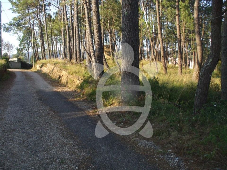Helårsgrund i Coimbra, Coimbra - foto 2