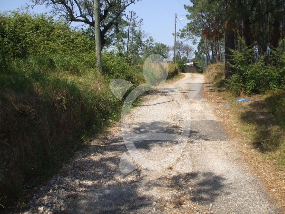 Helårsgrund i Coimbra, Coimbra - foto 3