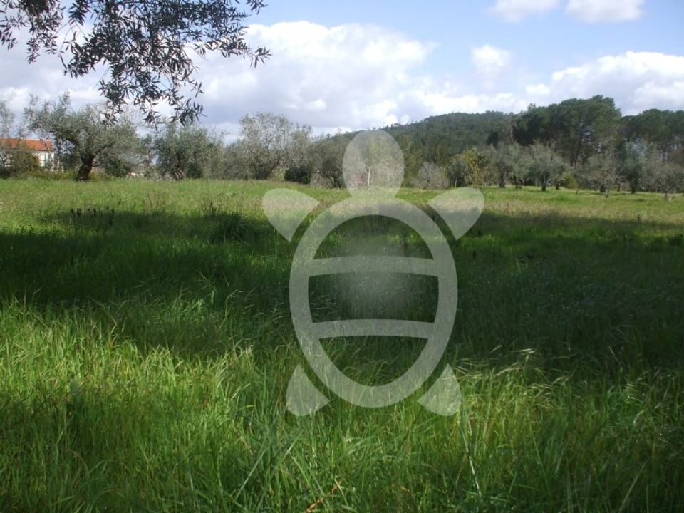 Helårsgrund i Condeixa-a-Nova, Coimbra - foto 1
