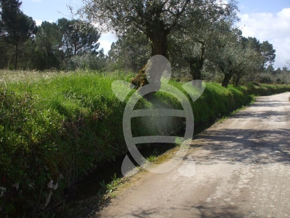 Helårsgrund i Condeixa-a-Nova, Coimbra - foto 2