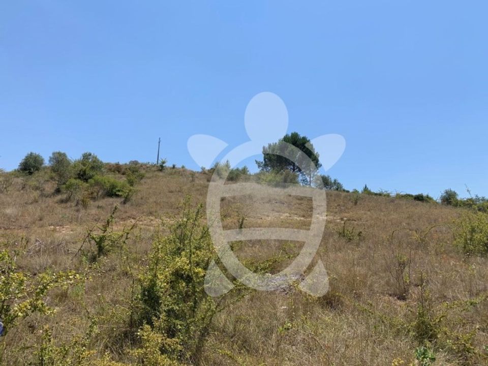 Helårsgrund i Coimbra, Coimbra - foto 3