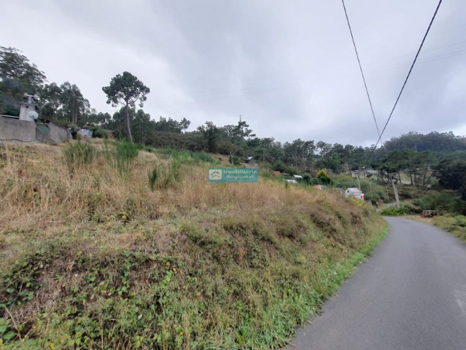 Helårsgrund i Camacha, Madeira - foto 1