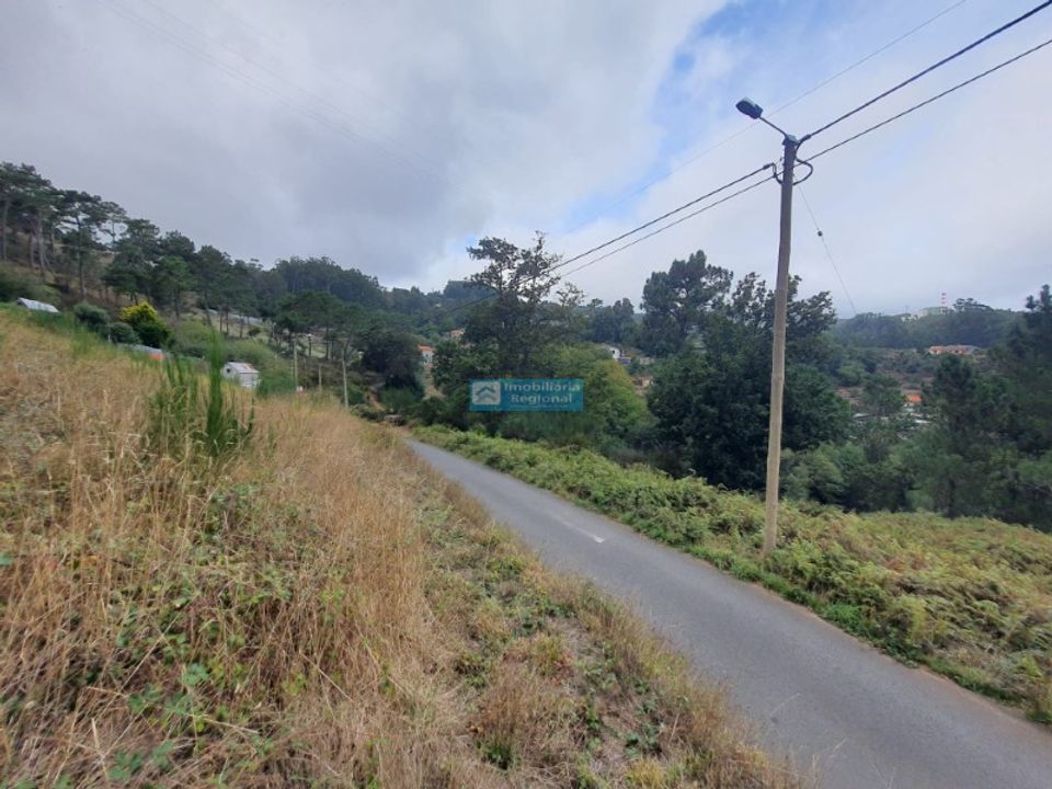 Helårsgrund i Camacha, Madeira - foto 4
