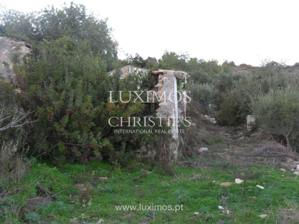 Helårsgrund i Faro, Faro - foto 3