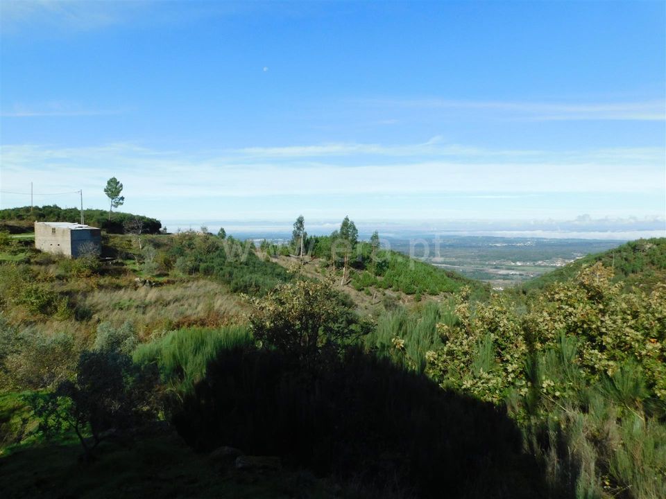 Landejendom i Seia, Guarda - foto 5