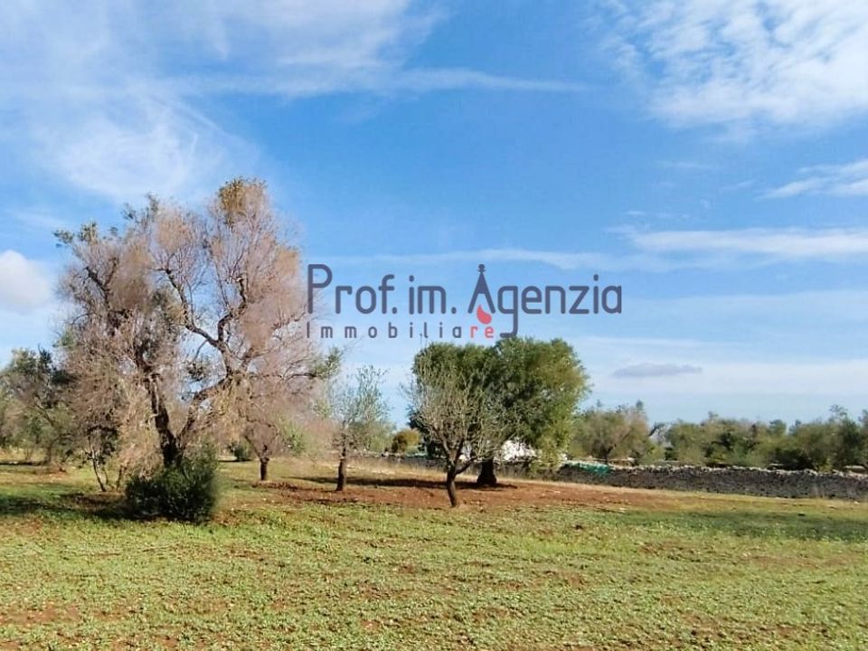 Helårsgrund i San Vito dei Normanni, Brindisi - foto 1