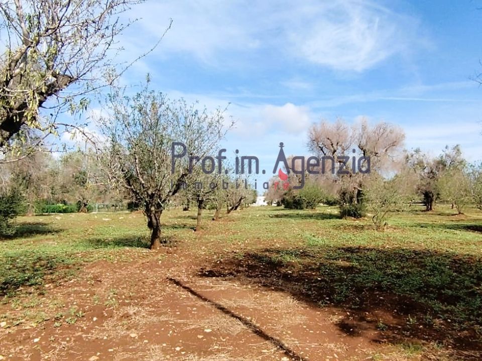 Helårsgrund i San Vito dei Normanni, Brindisi - foto 2
