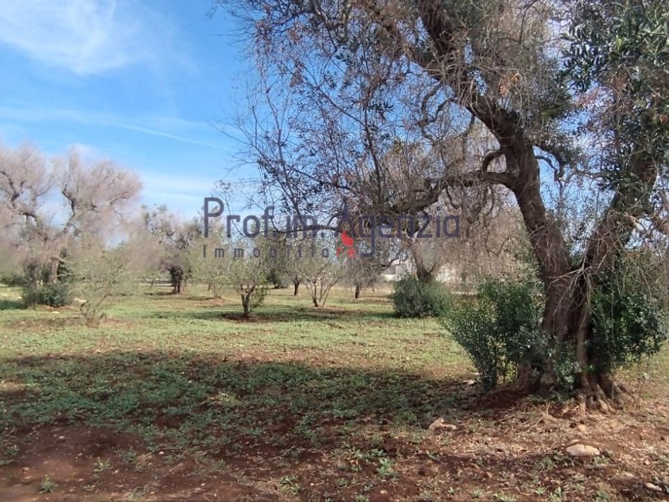 Helårsgrund i San Vito dei Normanni, Brindisi - foto 3