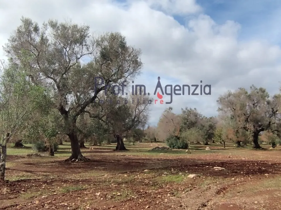 Helårsgrund i San Vito dei Normanni, Brindisi - foto 3