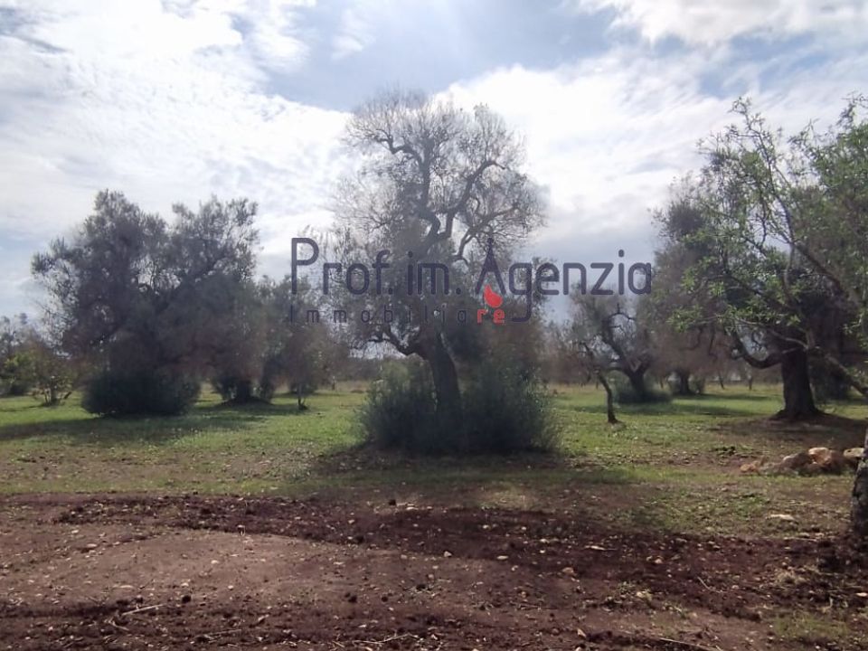 Helårsgrund i San Vito dei Normanni, Brindisi - foto 1