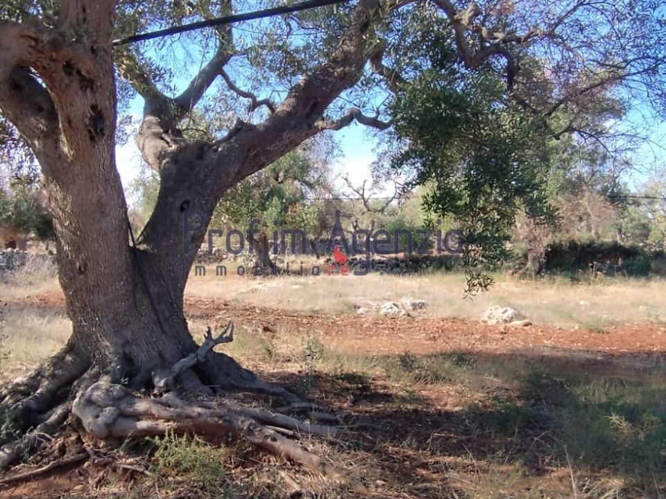 Helårsgrund i Carovigno, Brindisi - foto 2