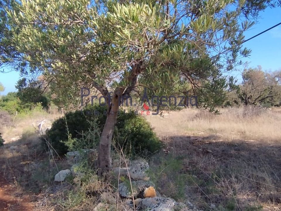 Helårsgrund i Carovigno, Brindisi - foto 3