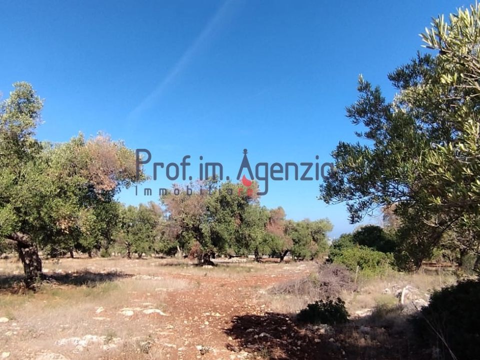 Helårsgrund i Carovigno, Brindisi - foto 4