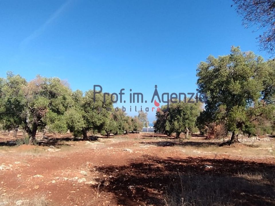 Helårsgrund i Carovigno, Brindisi - foto 1