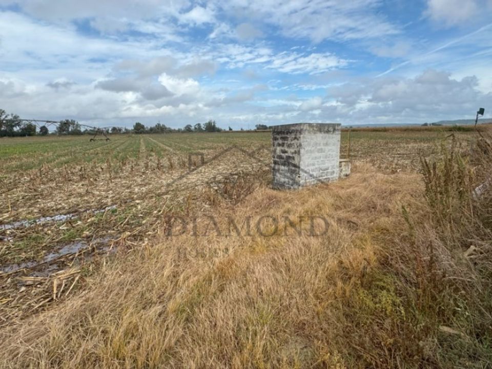 Helårsgrund i Chamusca, Santarem - foto 2