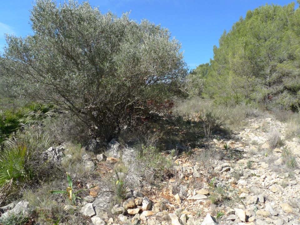 Helårsgrund i Benigembla, Alicante - foto 2