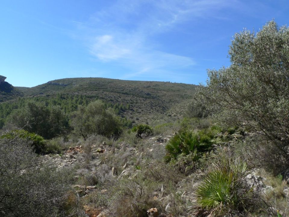 Helårsgrund i Benigembla, Alicante - foto 3
