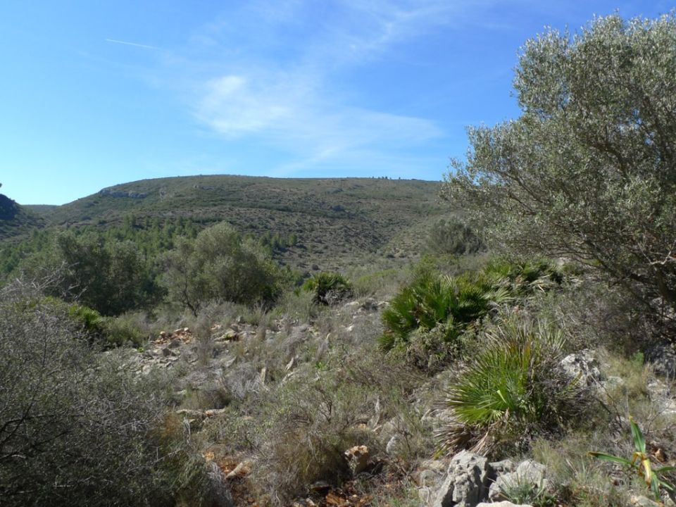 Helårsgrund i Benigembla, Alicante - foto 4
