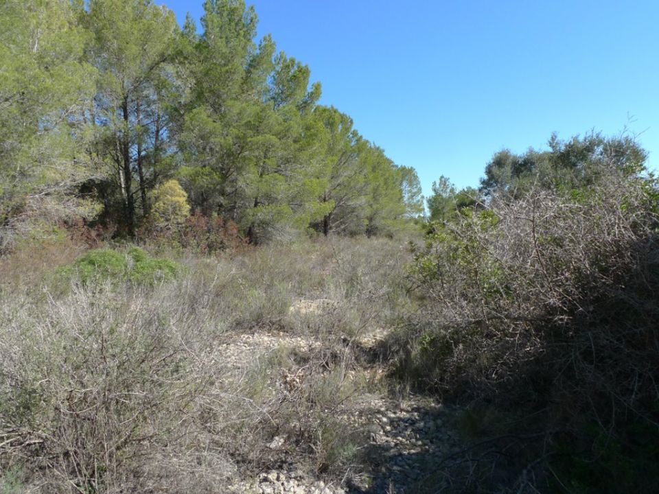 Helårsgrund i Benigembla, Alicante - foto 5