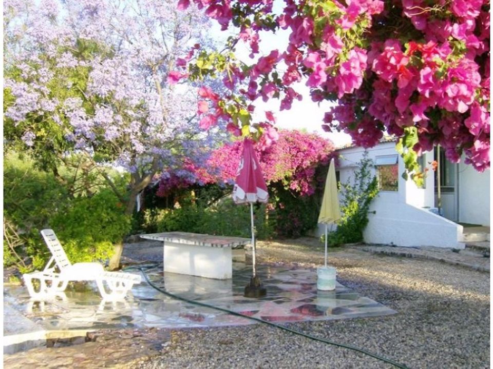 Farm i Tavira, Faro - foto 1