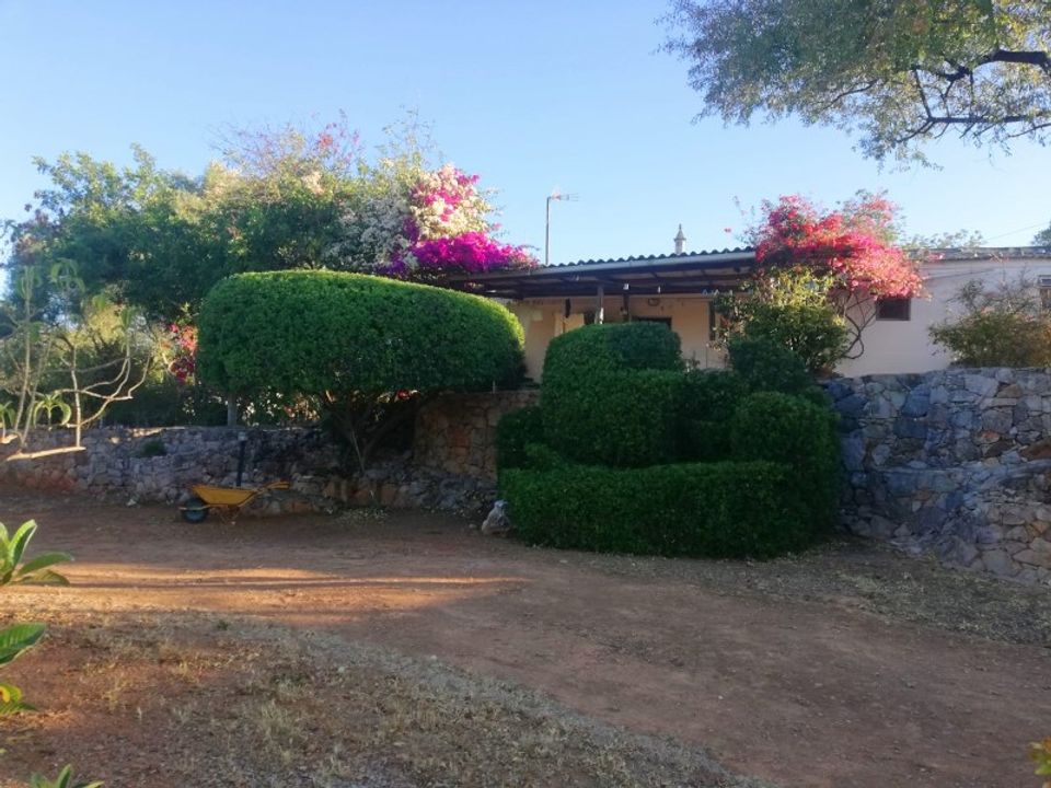 Farm i Tavira, Faro - foto 2