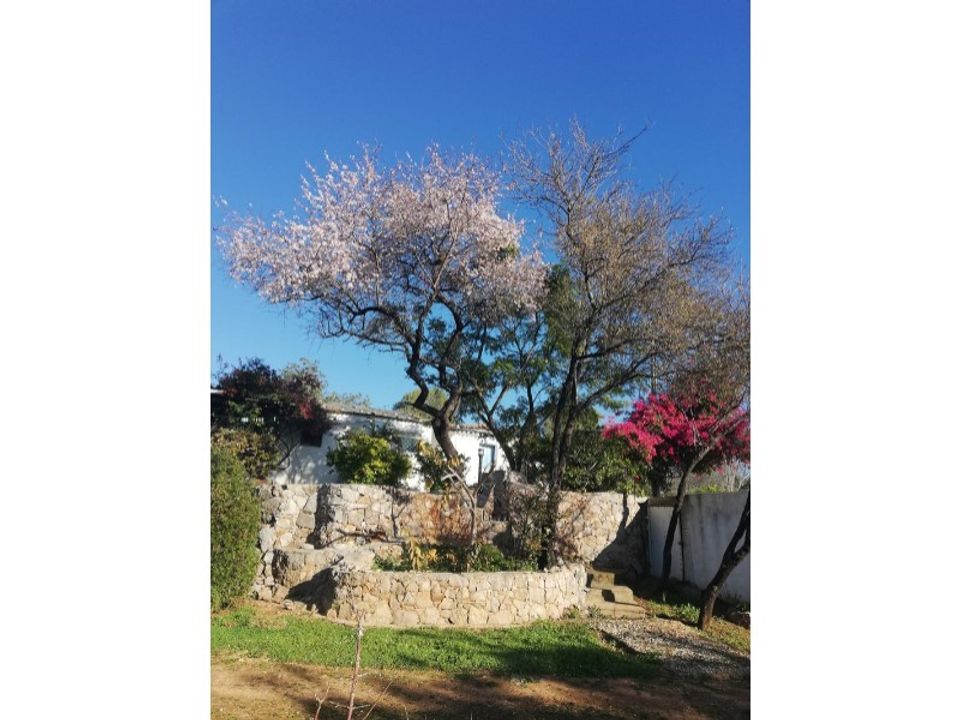 Farm i Tavira, Faro - foto 3