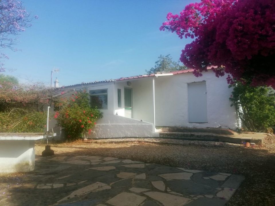 Farm i Tavira, Faro - foto 4