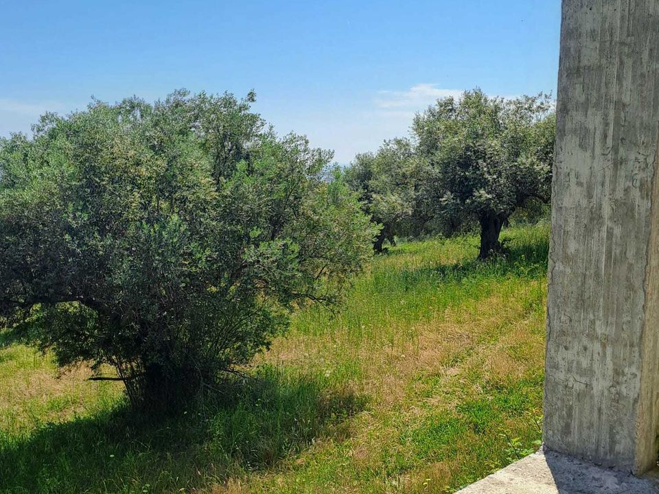 Villa - Silvi, Teramo - photo 4