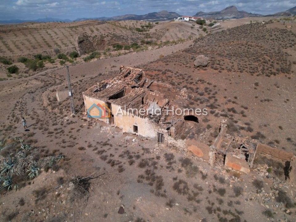 Landejendom i Albox, Almeria - foto 4