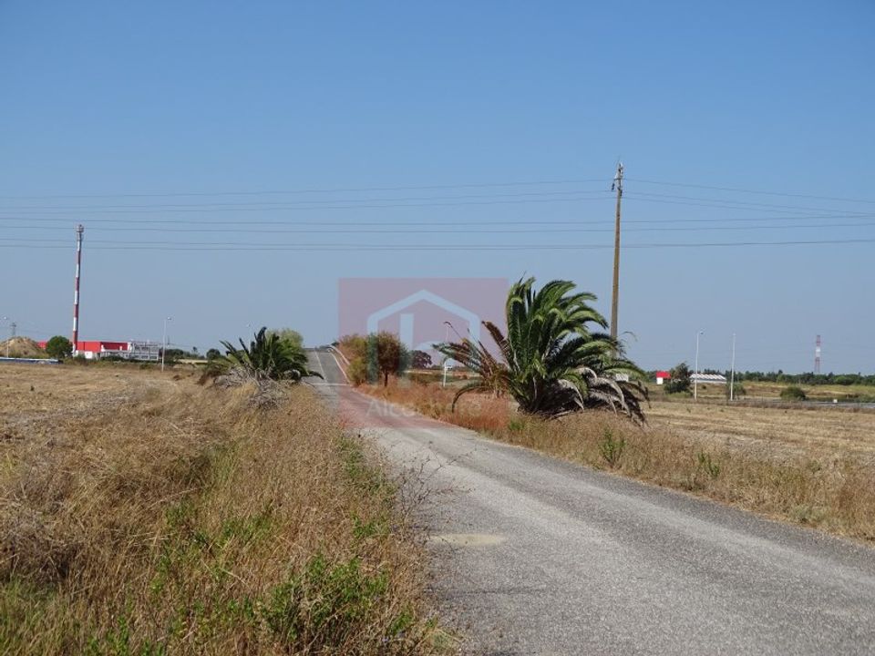 Tomt i Benavente, Santarem - bilde 3