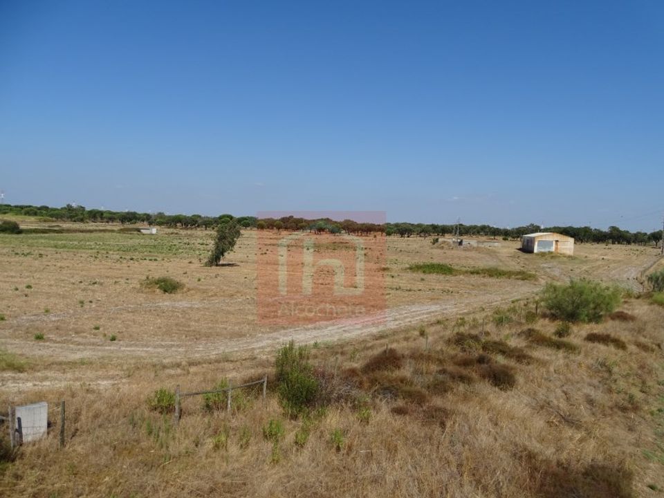Tomt i Benavente, Santarem - bilde 1