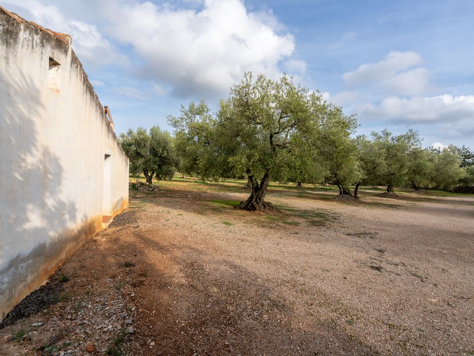 Finca i Ulldecona, Tarragona - foto 4