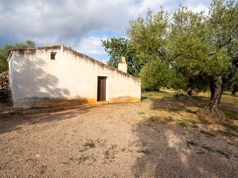 Finca i Ulldecona, Tarragona - foto 1