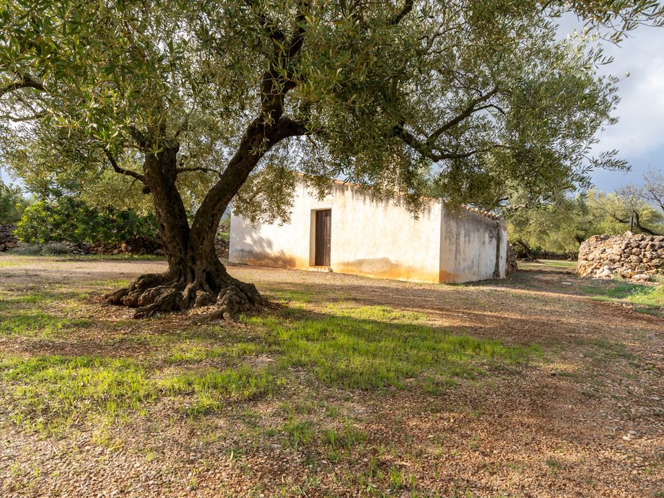 Finca i Ulldecona, Tarragona - foto 3